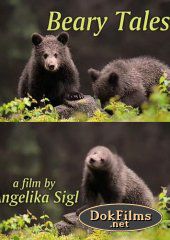 Медвежьи истории