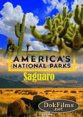 National Geographic. Национальные парки Америки. Сагуаро