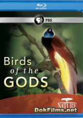 BBC: Мир природы - Птицы рая
