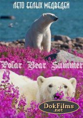 Лето белых медведей