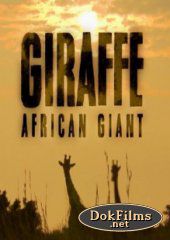 National Geographic. Жираф: Африканские гиганты