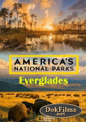 National Geographic. Национальные парки Америки. Эверглейдс