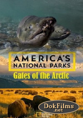 National Geographic. Национальные парки Америки. Арктические врата