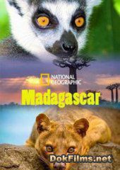 National Geographic. Мадагаскар: Легенда острова лемуров