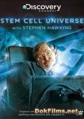 Мир стволовых клеток со Стивеном Хокингом