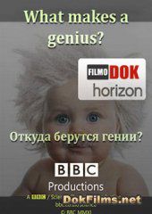 BBC: Horizon. Откуда берутся гении?
