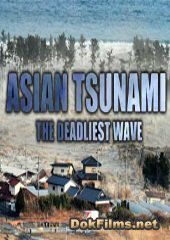Азиатские цунами: Смертельная волна