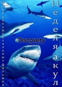 Discovery. Неделя акул