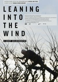 Творить вместе с ветром: Энди Голдсуорти