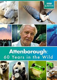 Аттенборо. 60 лет с дикой природой