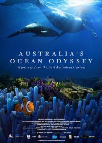 Австралийская Океанская Одиссея: путешествие по Восточно-австралийскому течению