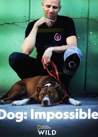 Собака: Невозможное возможно / Плохих собак не бывает