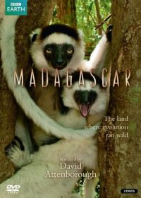 BBC: Мадагаскар