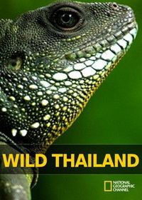 National Geographic. Дикая природа Таиланда