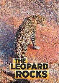 Скала леопардов