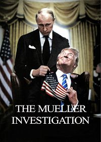 Расследование Мюллера