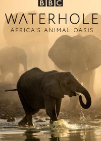 BBC. Водопой: Африканский Оазис для Животных