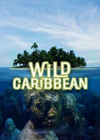 Дикая природа Карибских островов