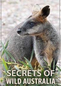 Тайны дикой природы Австралии