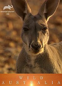 Animal Planet: Дикая Австралия