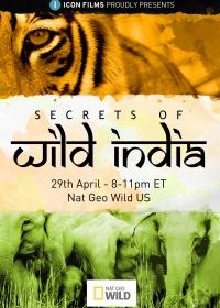Секреты дикой Индии