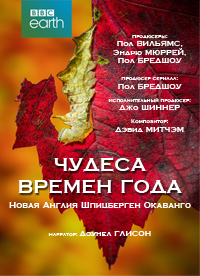 Чудеса времен года