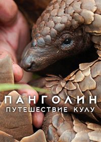 Панголин: Путешествие Кулу