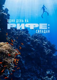 Один день на рифе: Сипадан