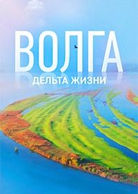 Волга: дельта жизни
