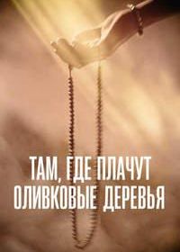 Там, где плачут оливковые деревья
