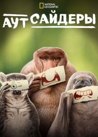 Аутсайдеры
