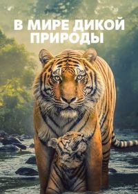 В мире дикой природы