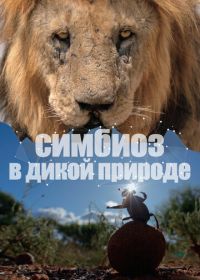 Симбиоз в дикой природе