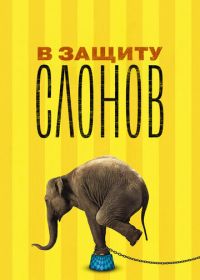 В защиту слонов