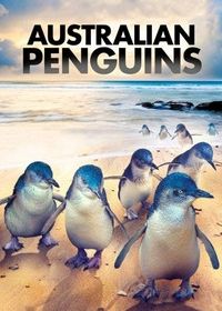 Остров пингвинов