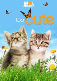 Симпатичные котята и щенки