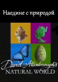 Наедине с природой