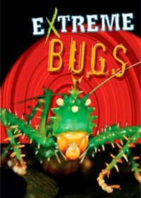 Экстремальные насекомые