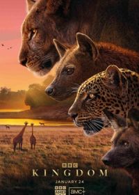 Царство животных