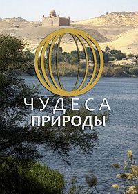 Чудеса природы