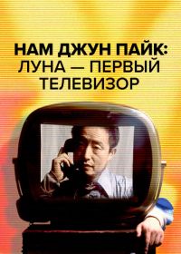 Нам Джун Пайк: Луна - первый телевизор