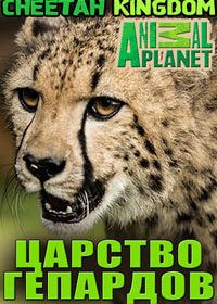 Царство гепардов