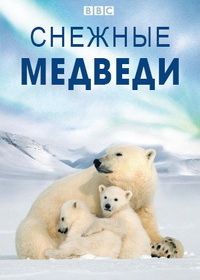 Снежные медведи