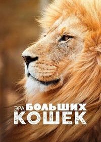 Эра больших кошек