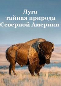 Луга: тайная природа Северной Америки