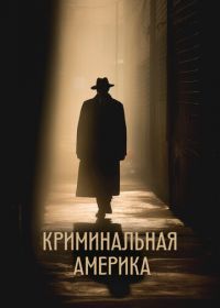 Криминальная Америка