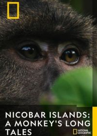 Никобарские острова: Мир длиннохвостых макак