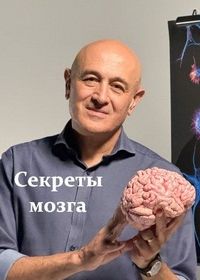 Секреты мозга