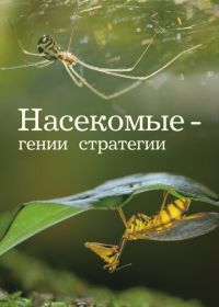 Насекомые - гении стратегии