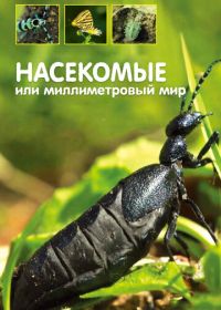 Насекомые, или Миллиметровый мир